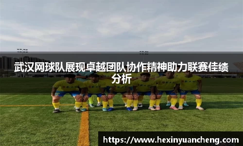 武汉网球队展现卓越团队协作精神助力联赛佳绩分析