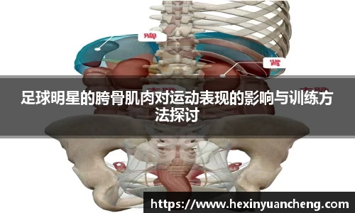足球明星的胯骨肌肉对运动表现的影响与训练方法探讨