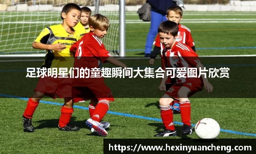 mk体育官网入口